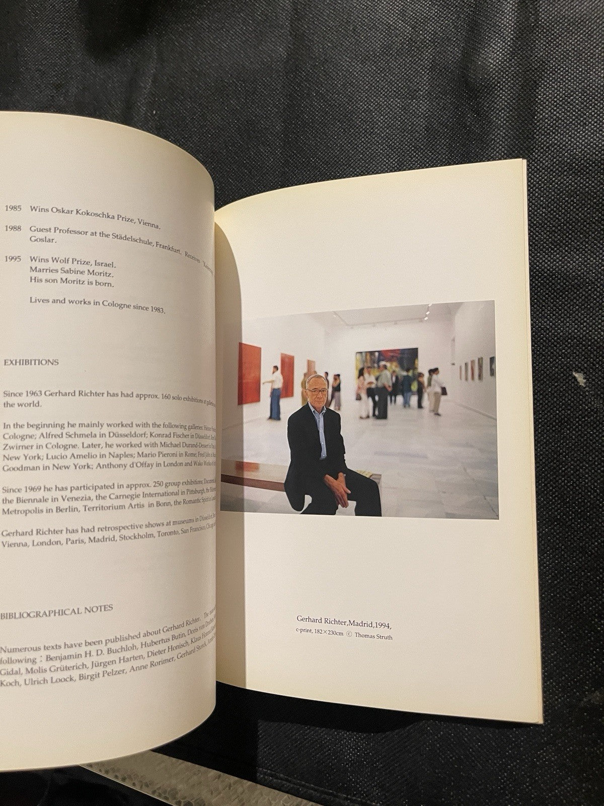 Gerhard Richter – New Painting (1996), Wako Works of Art, Tokyo.