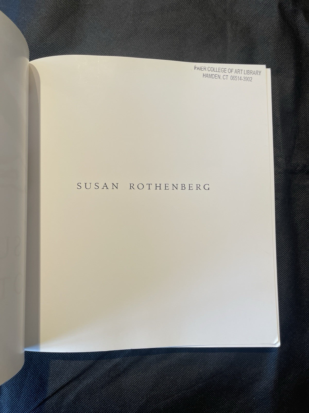 SUSAN ROTHENBERG By Joan Simon *Excellent Condition*