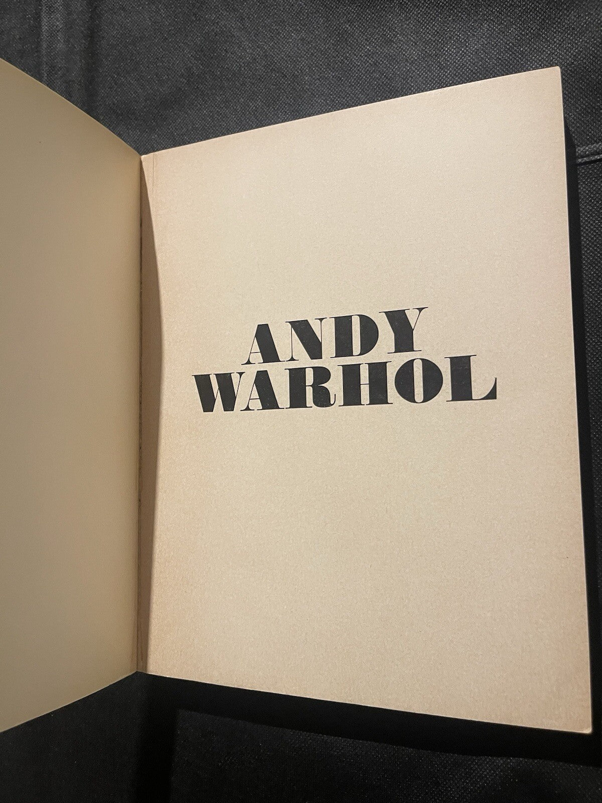 Andy Warhol Rare 1968 First Edition Moderna Museet Exhibition Catalogue FINE
