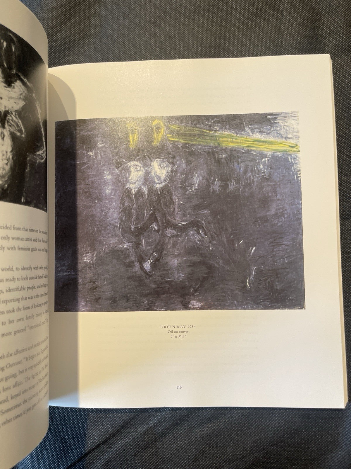 SUSAN ROTHENBERG By Joan Simon *Excellent Condition*