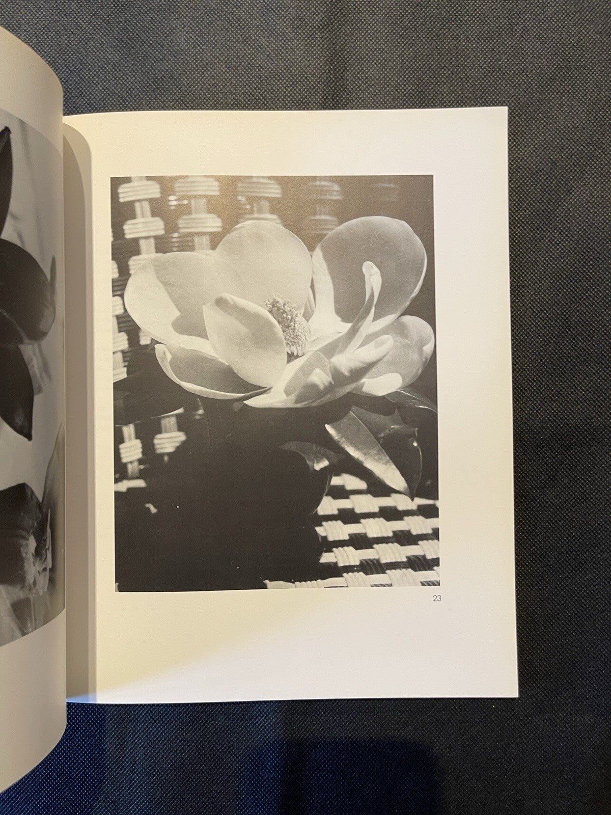 Man Ray – Photographien Paris 1920–1934 | Schirmer/Mosel