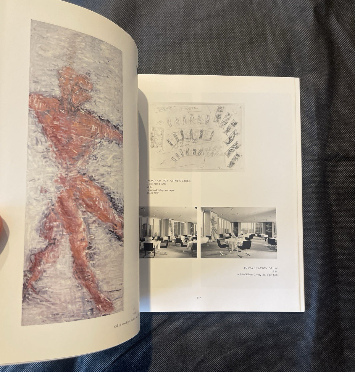 SUSAN ROTHENBERG By Joan Simon *Excellent Condition*