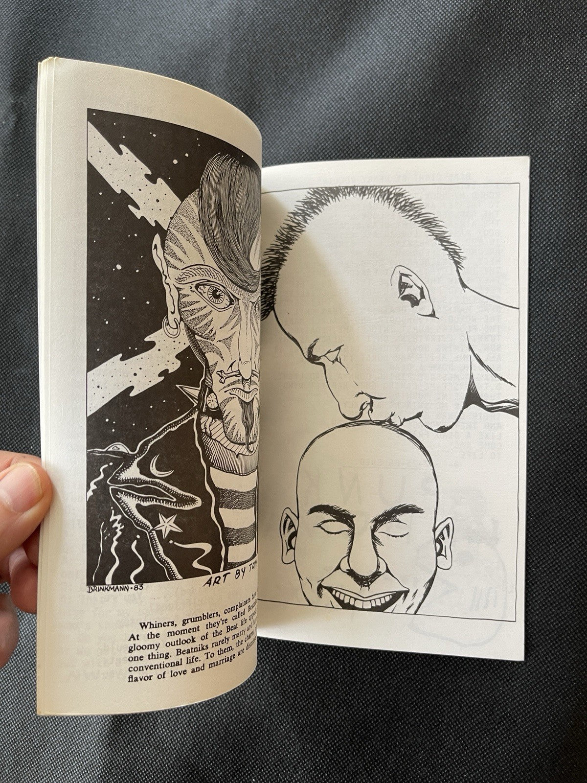 Raymond Pettibon Zine New Wavy Gravy #320/500 Elvis
