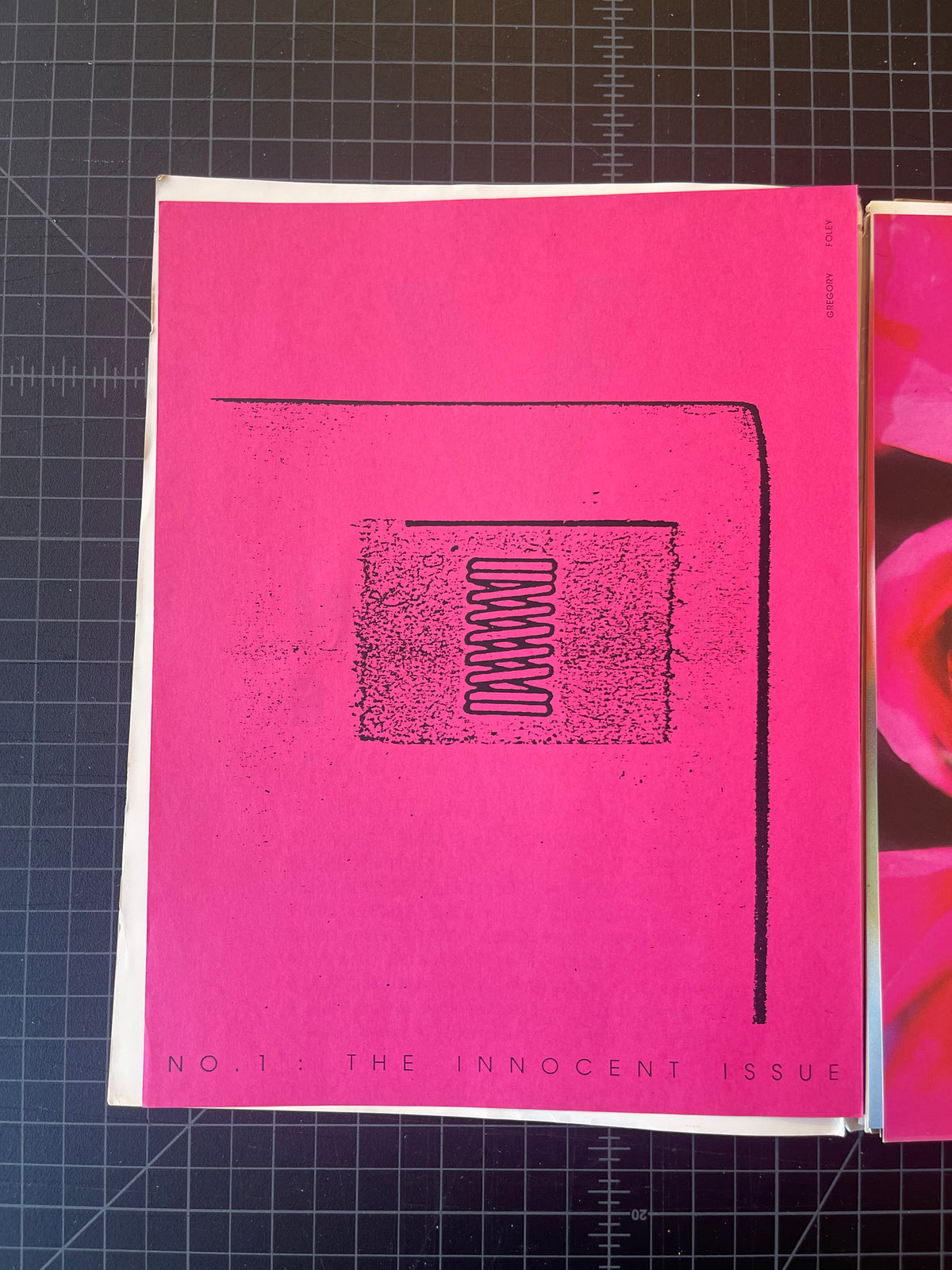Visionaire Issue 1 "the Innocent issue" #273/1000