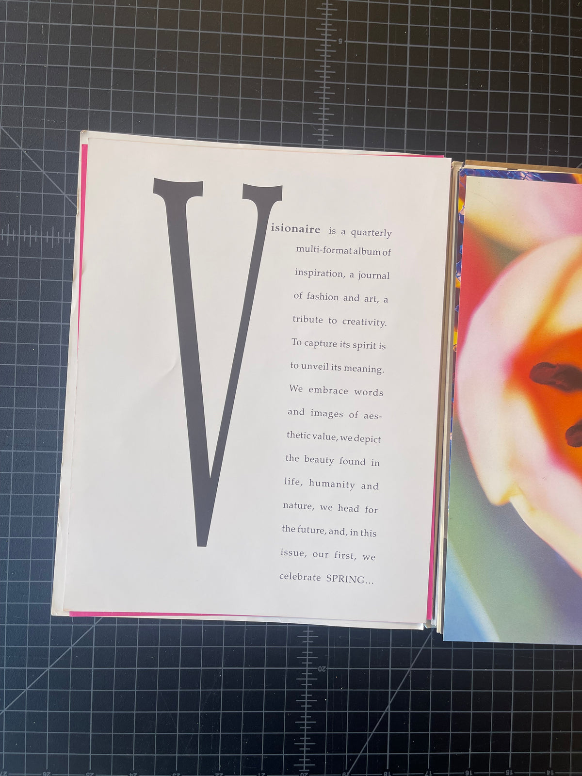 Visionaire Issue 1 "the Innocent issue" #273/1000