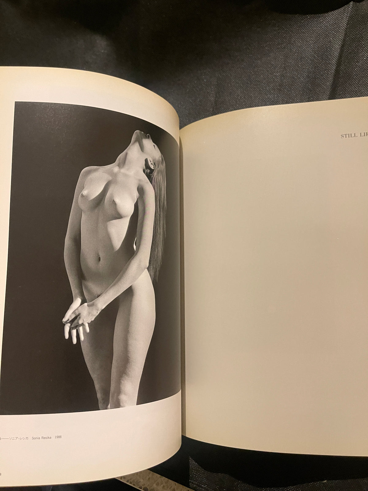 Robert Mapplethorpe 1997 Japan Exhibition Catalog – Rare Japanese Edition – Flowers & Portraits