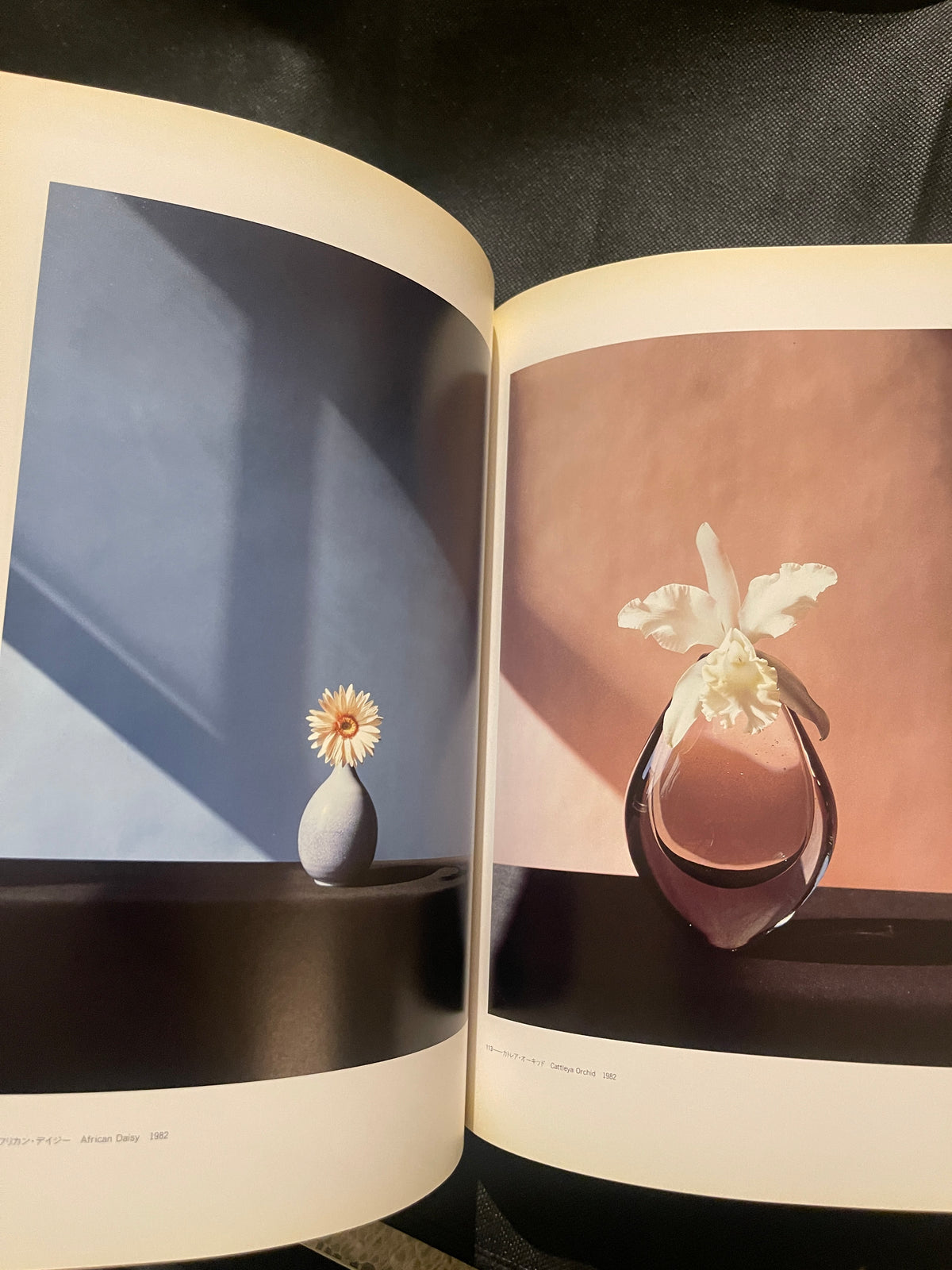 Robert Mapplethorpe 1997 Japan Exhibition Catalog – Rare Japanese Edition – Flowers & Portraits