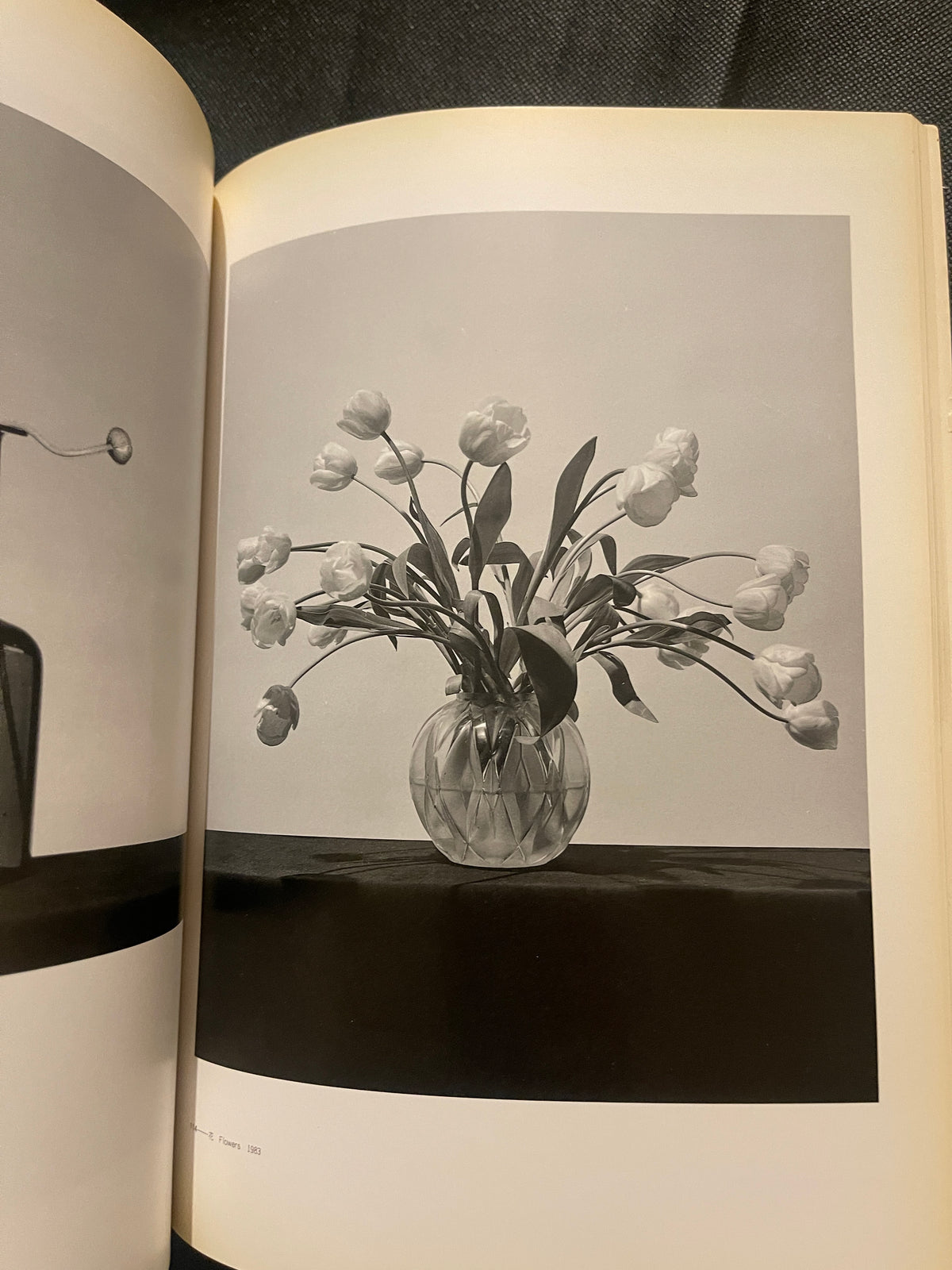 Robert Mapplethorpe 1997 Japan Exhibition Catalog – Rare Japanese Edition – Flowers & Portraits
