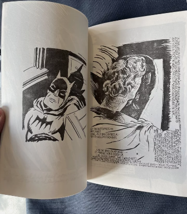 Punk zine by Raymond Pettibon, Ralph Rugoff