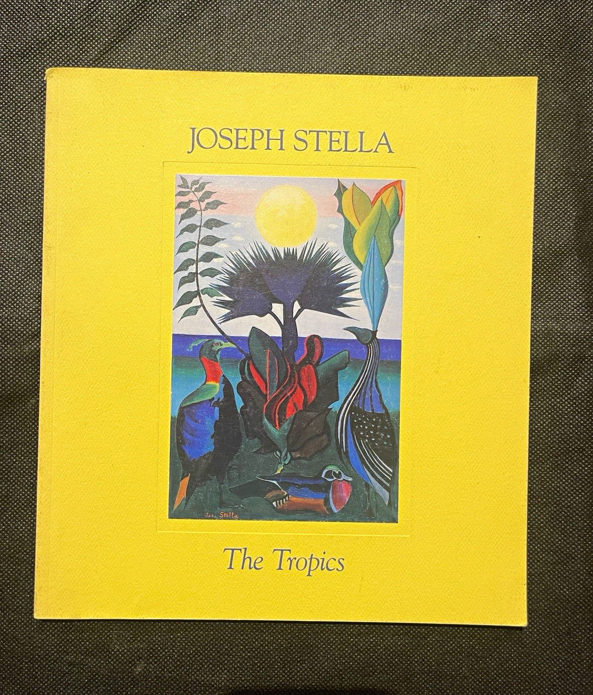 Joseph Stella: The Tropics by Ilene Susan Fort, 1988 PB Illustrated Catalog