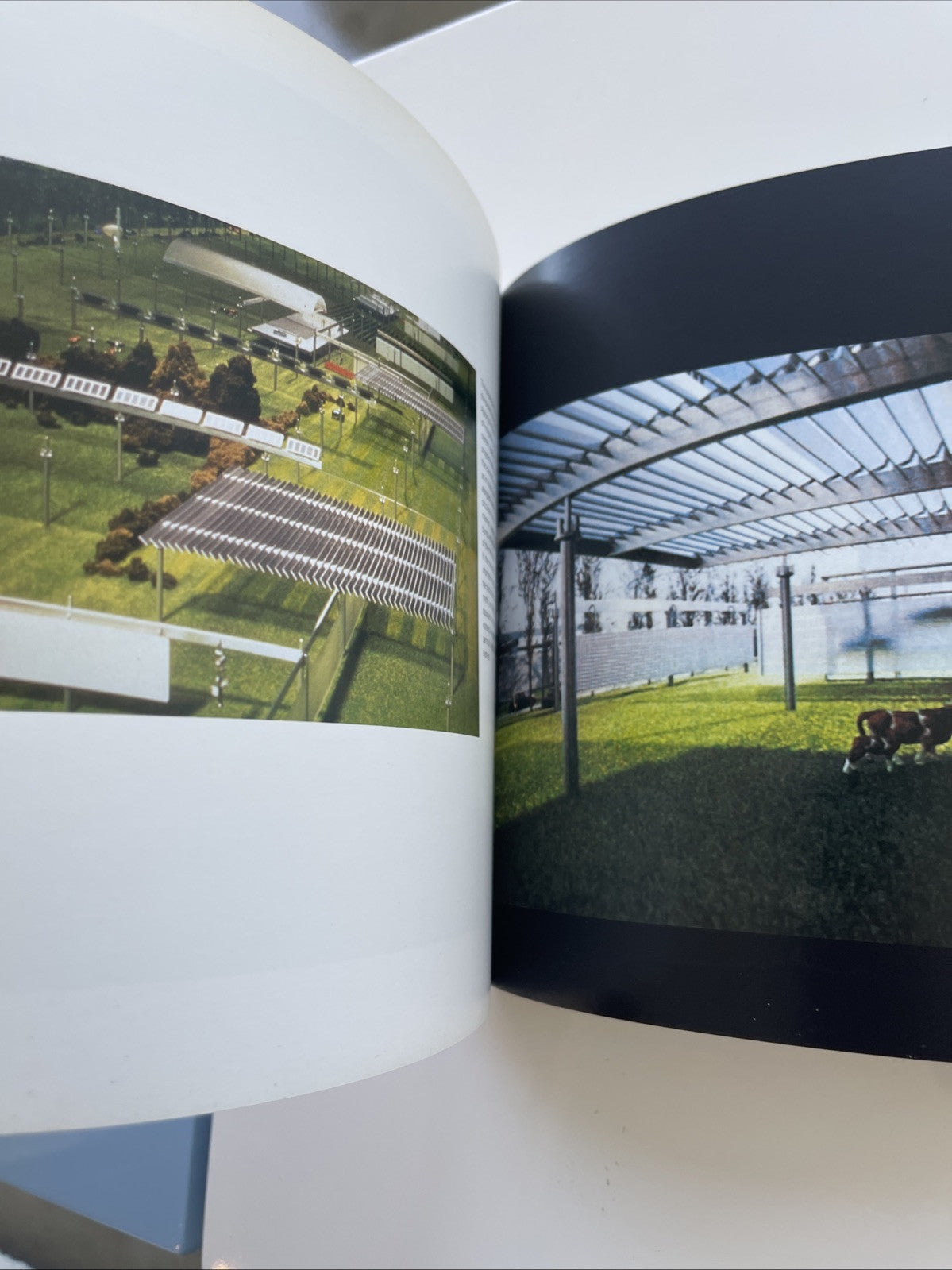 Weak and Diffuse Modernity: The World of Projects at the 21at Rate! Signed