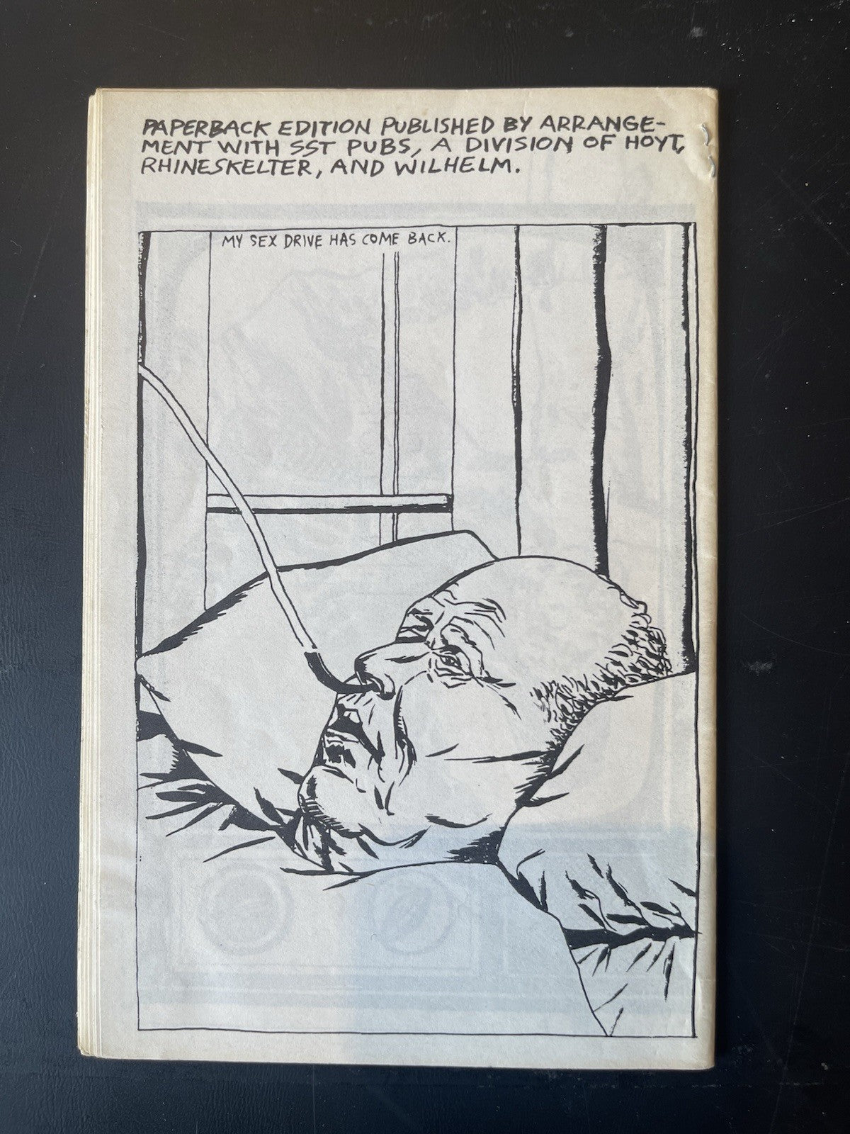 Raymond Pettibon Zine Ed 500 Wein Weib Und Gesang Rare!