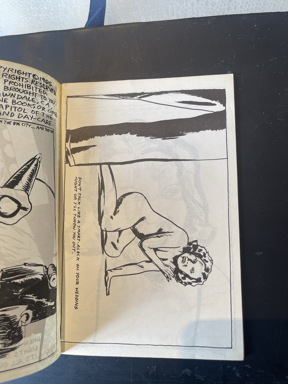 Raymond Pettibon Zine Ed 500 Wein Weib Und Gesang Rare!