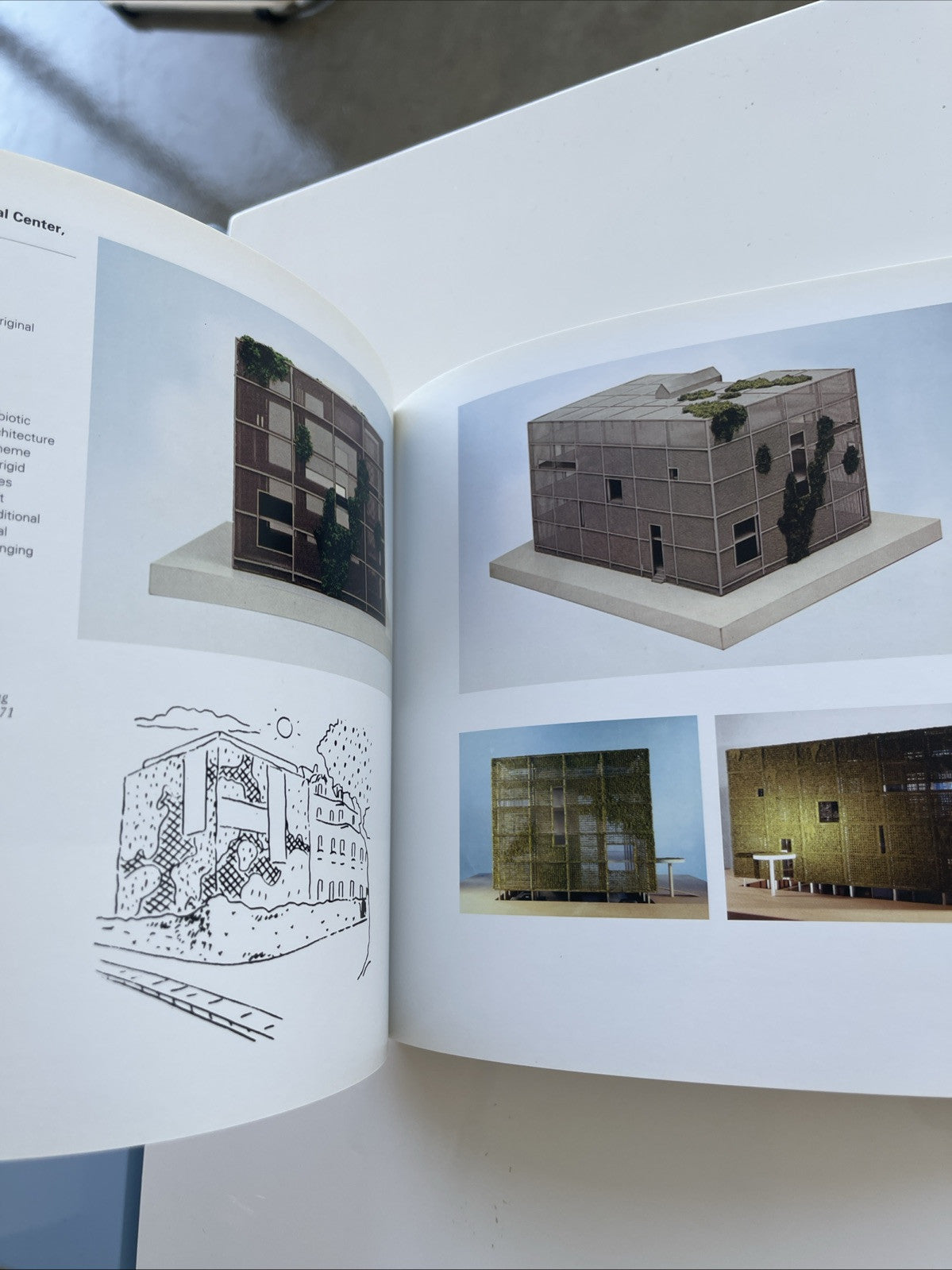 Weak and Diffuse Modernity: The World of Projects at the 21at Rate! Signed